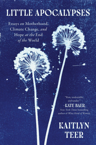 Little Apocalypses: Essays on Motherhood, Climate Change, and Hope at the End of the World book cover by Kaitlyn Teer