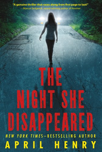 The Night She Disappeared Cover