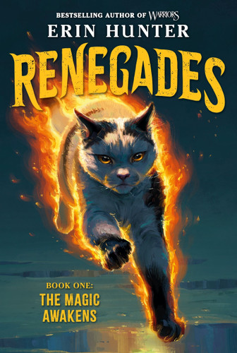Renegades #1: The Magic Awakens (Renegades #1) book cover by Erin Hunter