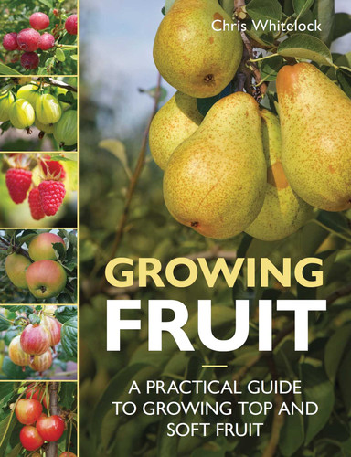 Growing Fruit: A Practical Guide to Growing Top and Soft Fruit book cover by Chris Whitelock