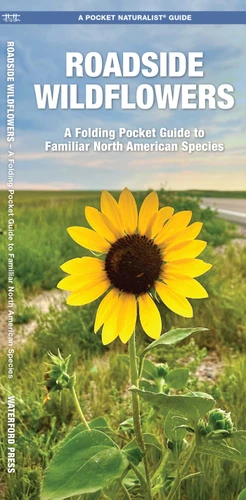 Roadside Wildflowers: A Folding Pocket Guide to Familiar North American Species (Wildlife and Nature Identification) book cover by James Kavanagh