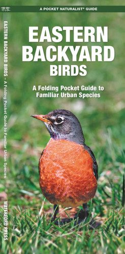 Eastern Backyard Birds: A Folding Pocket Guide to Familiar Urban Species (Nature Observation North America) book cover by James Kavanagh