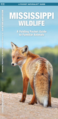 Mississippi Wildlife: A Folding Pocket Guide to Familiar Animals (Wildlife and Nature Identification) book cover by James Kavanagh