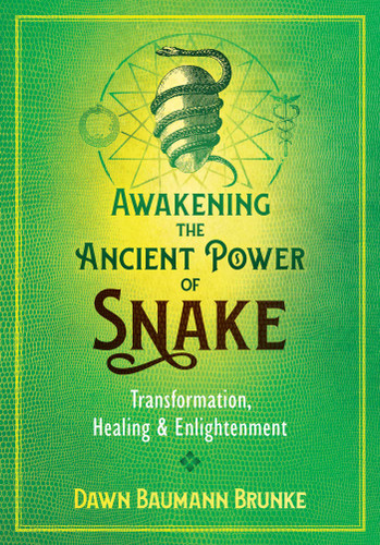 Awakening the Ancient Power of Snake: Transformation, Healing, and Enlightenment book cover by Dawn Baumann Brunke