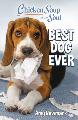 Chicken Soup for the Soul: Best Dog Ever book cover by Amy Newmark