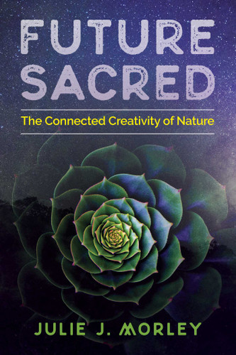 Future Sacred: The Connected Creativity of Nature book cover by Julie J. Morley
