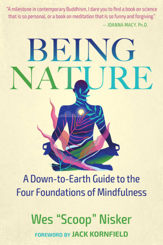 Being Nature: A Down-to-Earth Guide to the Four Foundations of Mindfulness book cover by Wes Nisker