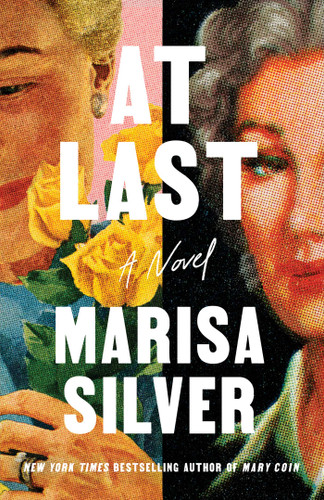 At Last: A Novel book cover by Marisa Silver