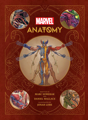 Marvel Anatomy: A Scientific Study of the Superhuman book cover by Marc Sumerak, Daniel Wallace