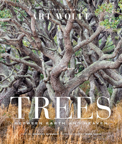 Trees (Gift Edition): Between Earth and Heaven book cover by 