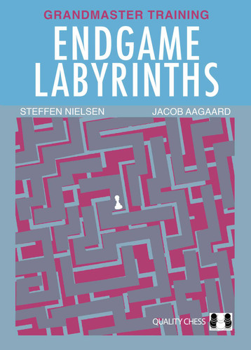 Endgame Labyrinths: Grandmaster Training book cover by Steffen Nielsen, Jacob Aagaard