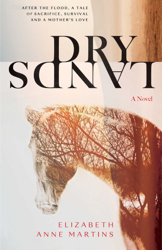 Dry Lands book cover by Elizabeth Anne Martins