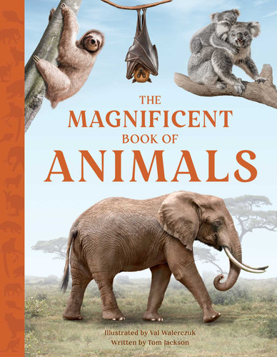 The Magnificent Book of Animals (The Magnificent Book of) book cover by Tom Jackson