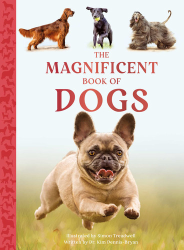 The Magnificent Book of Dogs (The Magnificent Book of) book cover by Kim Dennis-Bryan