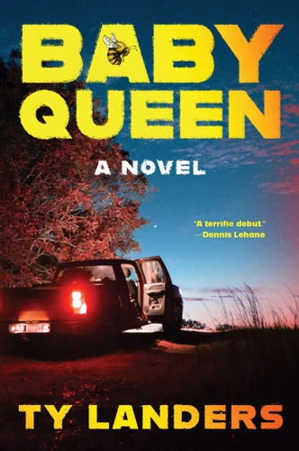 Baby Queen: A Novel book cover by Ty Landers