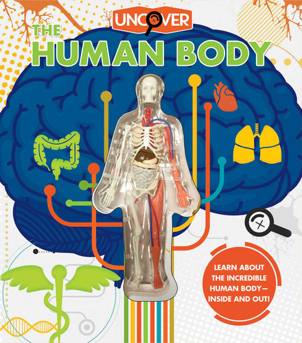 Uncover the Human Body (Uncover) book cover by Luann Colombo