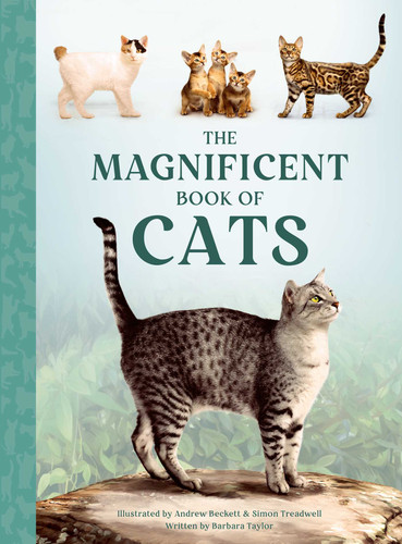The Magnificent Book of Cats (The Magnificent Book of) book cover by Barbara Taylor