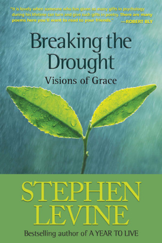 Breaking the Drought: Visions of Grace book cover by Stephen Levine
