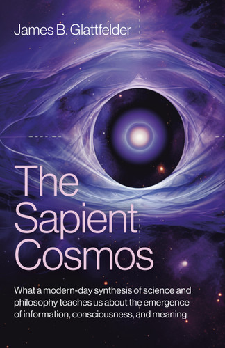 The Sapient Cosmos: What a modern-day synthesis of science and philosophy teaches us about the emergence of information, consciousness, and meaning book cover by James  B. Glattfelder