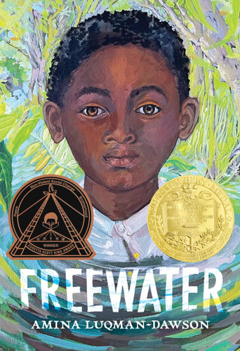 Freewater (Newbery & Coretta Scott King Award Winner) book cover by Amina Luqman-Dawson