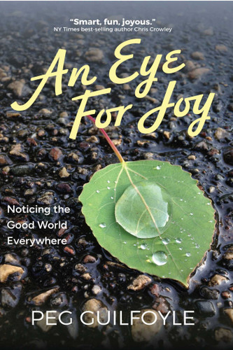 An Eye For Joy: Noticing the Good World Everywhere book cover by Peg Guilfoyle