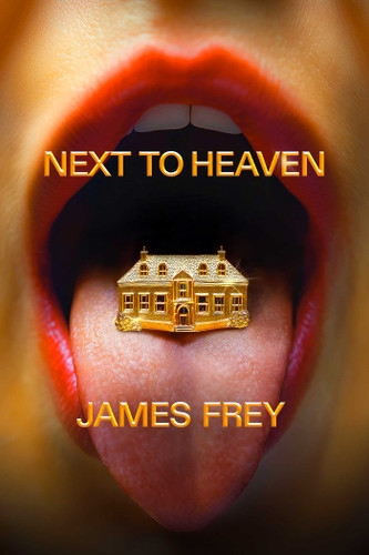 Next To Heaven: A Novel book cover by James Frey