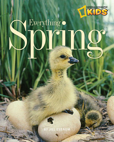 Everything Spring (Picture the Seasons) book cover by Jill Esbaum