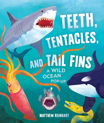 Teeth, Tentacles, and Tail Fins (Reinhart Pop-Up Studio): A Wild Ocean Pop-Up (Reinhart Studios) (Ocean Book for Kids, Shark Book for Kids, Nature Book for Kids) (Reinhart Pop-Up Studio) book cover by Matthew Reinhart