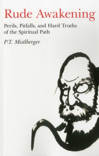 Rude Awakening: Perils, Pitfalls, and Hard Truths of the Spiritual Path book cover by P.T. Mistlberger