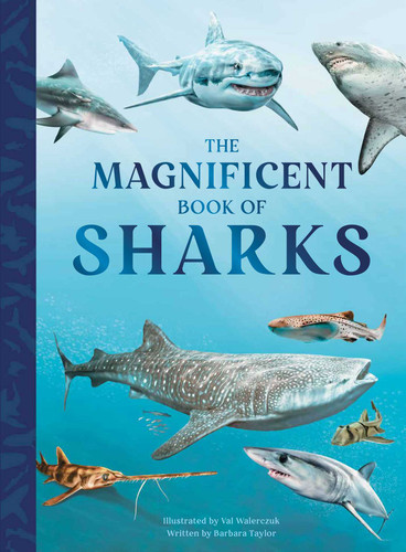 The Magnificent Book of Sharks (The Magnificent Book of) book cover by Barbara Taylor