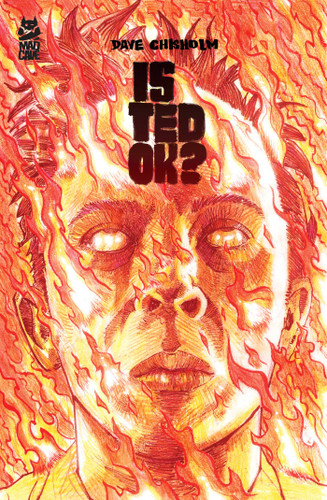 Is Ted OK? (Is Ted OK?) book cover by Dave Chisholm