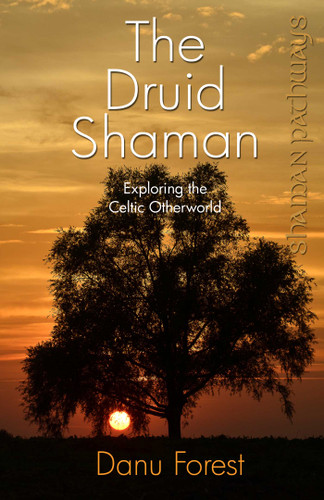 Shaman Pathways - The Druid Shaman: Exploring the Celtic Otherworld book cover by Danu Forest