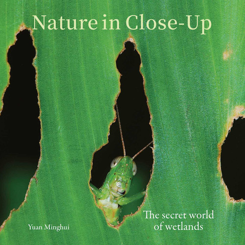 Nature in Close Up: The secret world of wetlands book cover by 