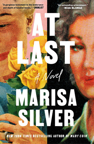 At Last: A Novel book cover by Marisa Silver