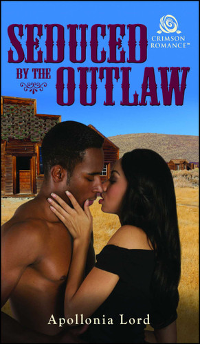 Seduced by the Outlaw book cover by Apollonia Lord