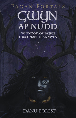 Pagan Portals - Gwyn ap Nudd: Wild God of Faery, Guardian of Annwfn book cover by Danu Forest