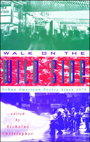 Walk On The Wild Side book cover by Nicholas Christopher