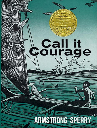 Call It Courage book cover by Armstrong Sperry