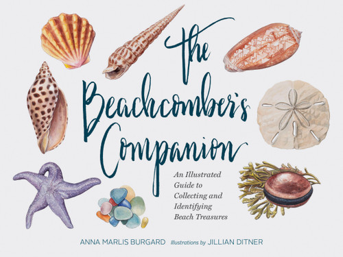 The Beachcomber's Companion: An Illustrated Guide to Collecting and Identifying Beach Treasures book cover by Anna Marlis Burgard