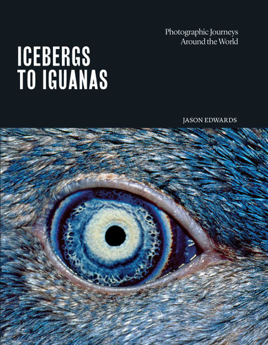Icebergs to Iguanas: Photographic Journeys Around the World book cover by 