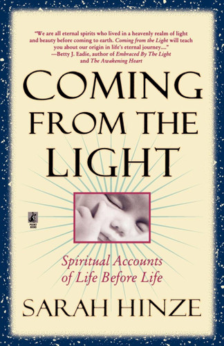 Coming From The Light book cover by Sarah Hinze