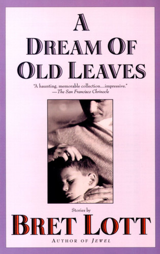 A Dream of Old Leaves book cover by Bret Lott