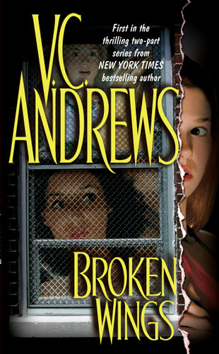 Broken Wings (Broken Wings) book cover by V.C. Andrews