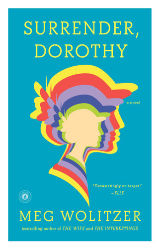 Surrender, Dorothy: A Novel book cover by Meg Wolitzer