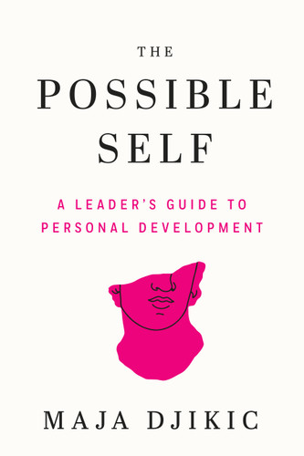 The Possible Self: A Leader's Guide to Personal Development book cover by Maja Djikic