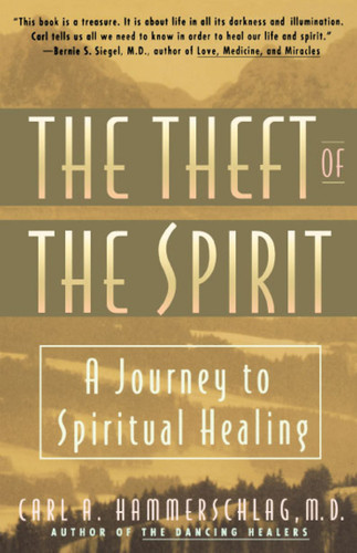 Theft of the Spirit: A Journey to Spiritual Healing book cover by Carl Hammerschlag