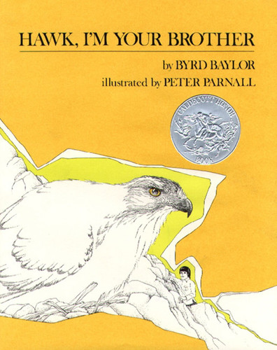 Hawk, I'm Your Brother book cover by Byrd Baylor