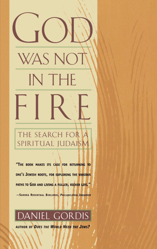 God Was Not in the Fire book cover by Daniel Gordis