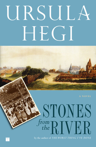Stones from the River book cover by Ursula Hegi