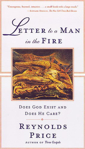 Letter To A Man In The Fire: Does God Exist And Does He Care book cover by Reynolds Price